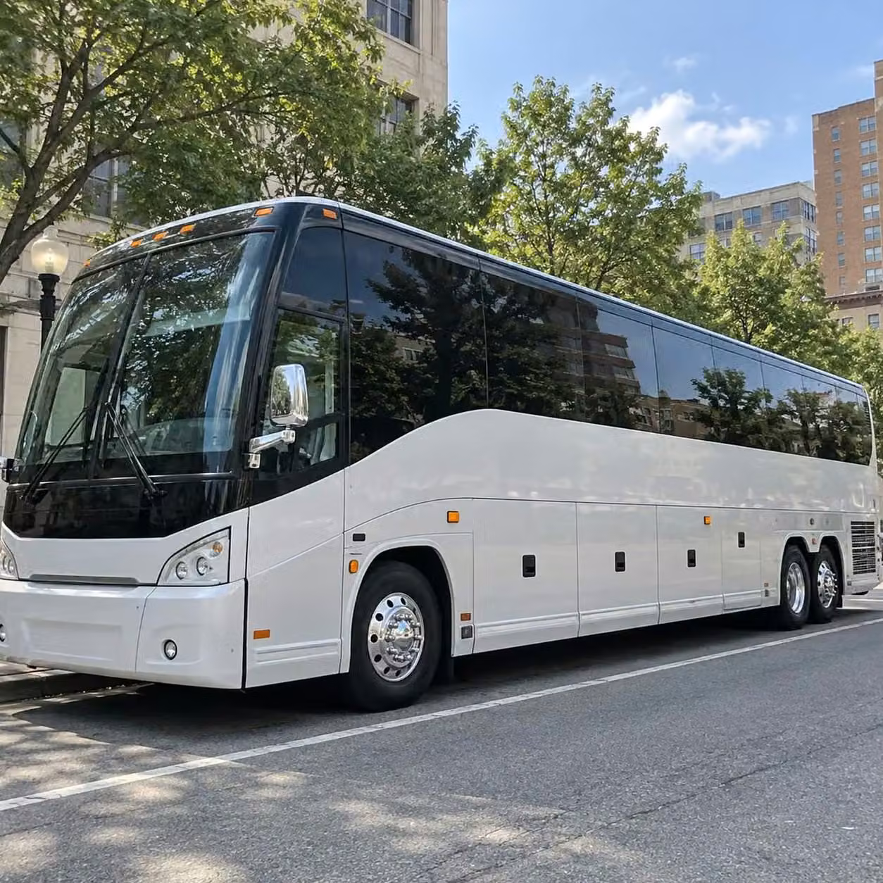 east palo alto day of wedding transportation for guests